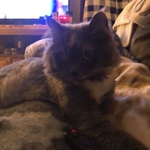 Meet your Posher, Brooke